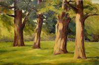 Landscapes - Oaks - Oil On Canvas